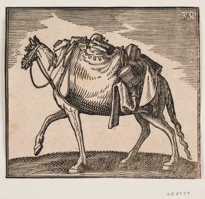 Cavalo muito embalado de Melchior Lorck