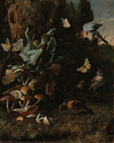 Animais e Plantas de Melchior d