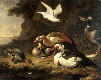 Patos de Melchior d