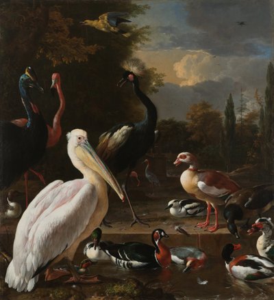 Um pelicano e outras aves em uma bacia de água, conhecida como &39;A pena flutuante&39; de Melchior dHondecoeter