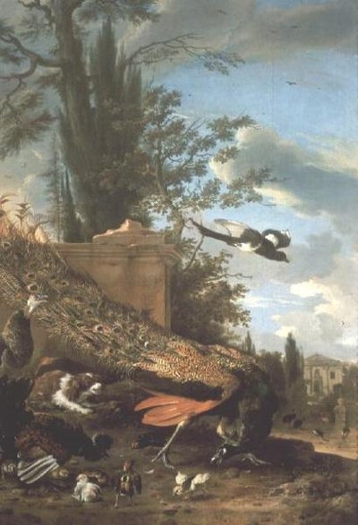 Um pavão e um spaniel no jardim de uma vila de Melchior de Hondecoeter