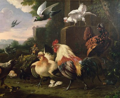 Um galo e outras aves em uma paisagem de Melchior de Hondecoeter