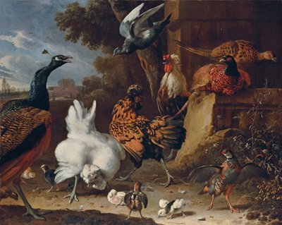 Um galo, galinhas, pintinhos, uma perdiz, faisões, um pavão e um pombo perto de uma parede no parque de uma mansão de Melchior de Hondecoeter