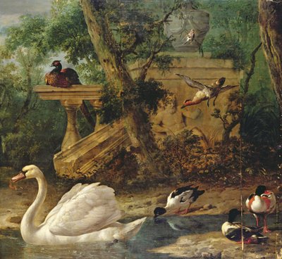 Pássaros num jardim (óleo sobre tela) de Melchior de Hondecoeter