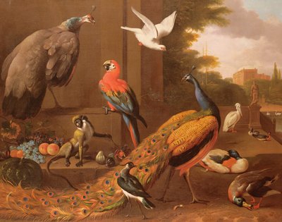 Pássaros em uma paisagem de Melchior de Hondecoeter