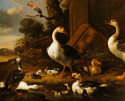 Gansos chineses e egípcios e outros pássaros em uma paisagem com ruínas nas proximidades, de Melchior de Hondecoeter