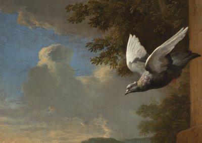 Detalhe de Menagerie, c.1680 (óleo sobre tela) de Melchior de Hondecoeter