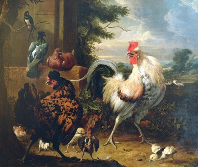 Aves de capoeira de Melchior de Hondecoeter