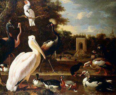 Muitos tipos diferentes de pássaros em uma piscina em um parque, de Melchior de Hondecoeter