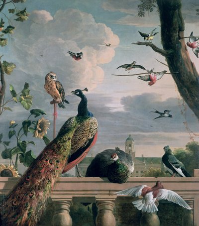 Palácio de Amesterdão com pássaros exóticos de Melchior de Hondecoeter