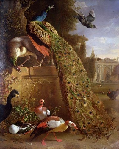 Pavão e uma Peahen em um plinto, com patos e outras aves em um parque de Melchior de Hondecoeter