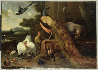 Revolta no golpe de aves de Melchior de Hondecoeter