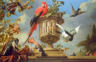 Arara-escarlate no cimo de uma urna, com outras aves e um macaco a comer uvas de Melchior de Hondecoeter