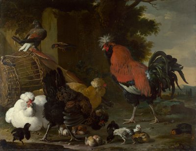 Pintura "A Cock, Hens and Chicks" de Melchior de Hondecoeter (1636-1695) Óleo sobre tela ca 1668-1670 Dim 85,5x110 cm National Gallery, Londres de Melchior de Hondecoeter