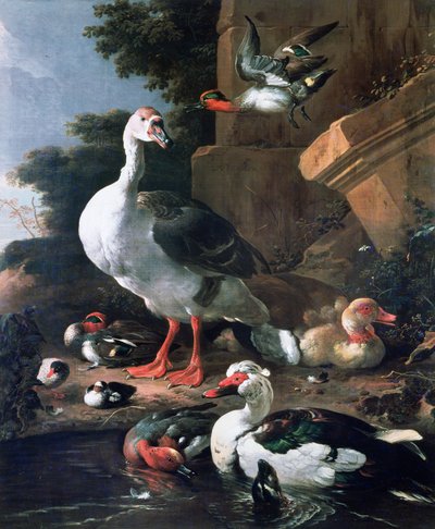 Aves aquáticas em uma paisagem clássica, do século XVII de Melchior de Hondecoeter