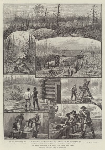 O Denison Gold-Mines, perto de Algoma, o Lago Huron, Upper Canada de Melton Prior