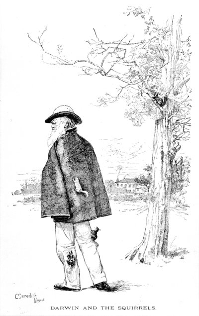 Darwin e os esquilos, ilustração de Charles Darwin, sua vida e obra por Charles Frederick Holder, 1899 de Meredith Nugent