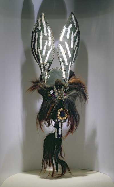 Máscara para fantasias usada pelos povos zapotecas da região de Oaxaca, México (mídia mista, cabelo e couro) de Mexican School