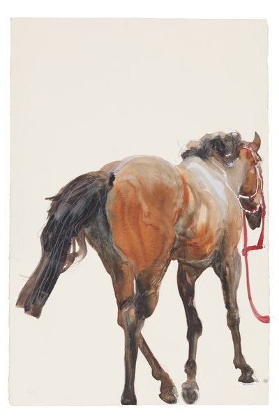 Sem título, 2018 (aguarela sobre papel) de Michael Frith