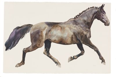 Sem título, 2018 (aguarela sobre papel) de Michael Frith