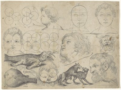 Folha de estudo com exemplos de desenhos: figuras, animais Exemplos de desenho (título da série) de Michael Snijders