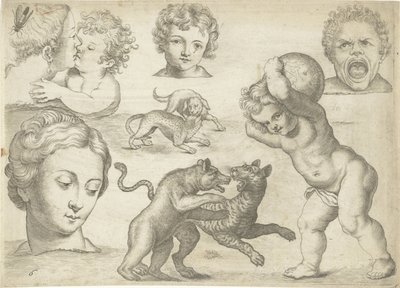 Folha de estudo com exemplos de desenho: cabeças e animais de combate
Exemplos de desenho (título da série) de Michael Snijders