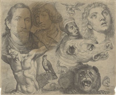 Folha de estudo com exemplos de desenho: cabeças, tronco e animais
Exemplos de desenho (título da série) de Michael Snijders