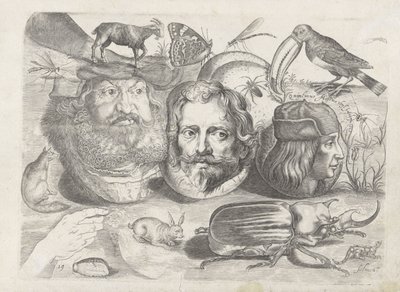 Folha de exercícios com exemplos de desenho: retratos, animais, insetos de Michael Snijders
