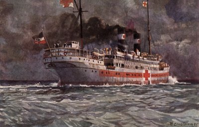 Navio hospitalar alemão, Primeira Guerra Mundial de Michael Zeno Diemer