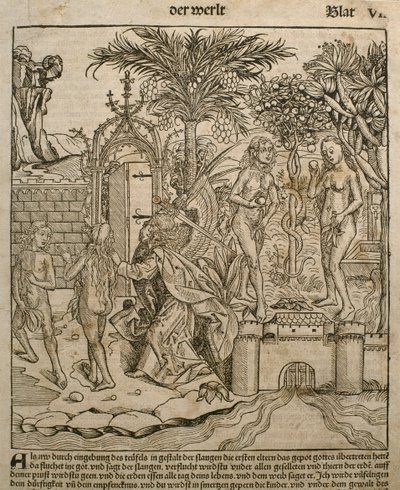 Adão e Eva, ilustração do &39;Liber Chronicarum&39; de Hartmann Schedel (1440-1514), publicada em Nuremberg, 1493 de Michael and Pleydenwurff, W. Wolgemuth