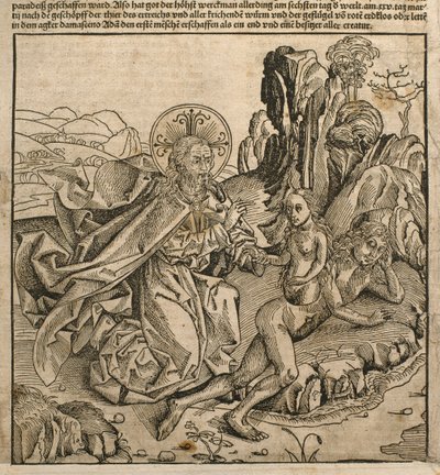 Deus Pai criando Eva da costela de Adão, ilustração do &39;Liber Chronicarum&39; de Hartmann Schedel (1440-1514) publicada em Nuremberg, 1493 de Michael and Pleydenwurff, W. Wolgemuth