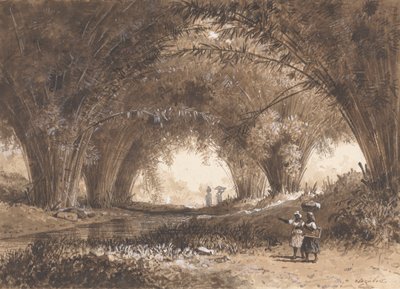 Arcos de Bambu, St. Anns de Michel Jean Cazabon