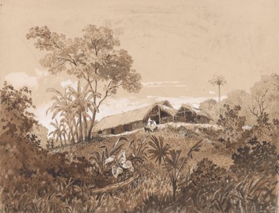 A casa de campo, Monte Tamana de Michel Jean Cazabon
