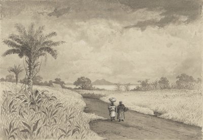 O caminho para o Lago Pitch de Michel Jean Cazabon