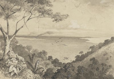 Vista de Laventille Hill de Michel Jean Cazabon
