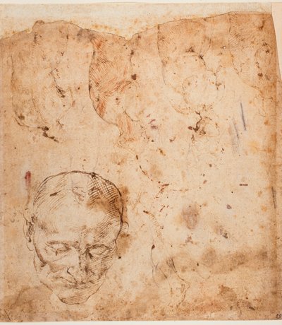 Estudos de figuras de Michelangelo (after) Buonarroti