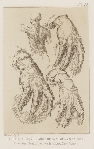 Estudos das mãos e das costas de uma figura masculina (gravura) de Michelangelo (after) Buonarroti