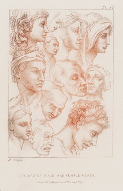 Estudos de cabeças masculinas e femininas (gravura) de Michelangelo (after) Buonarroti
