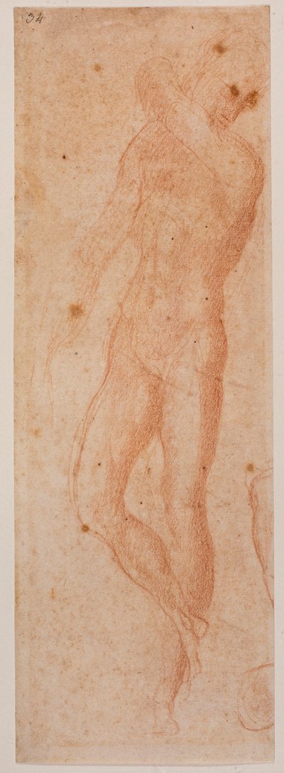 Estudos de nu masculino de Michelangelo (after) Buonarroti