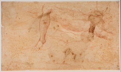Estudos de nus de Michelangelo (after) Buonarroti