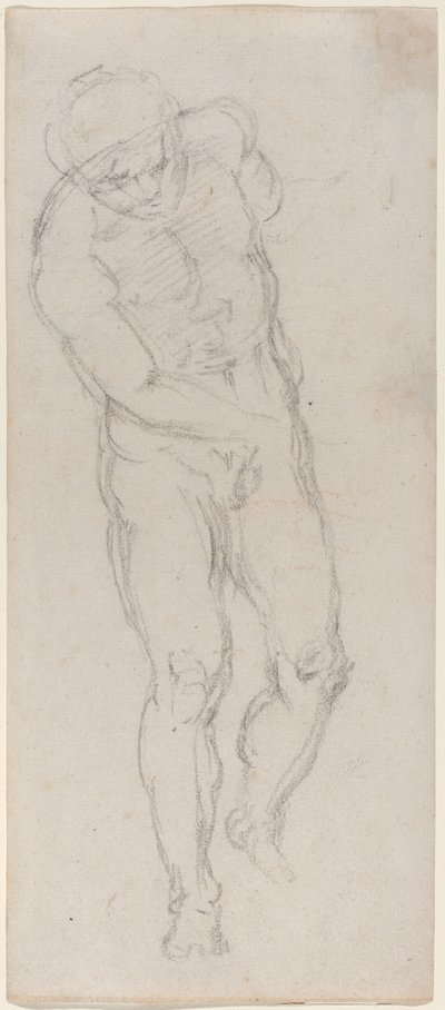 Nu Masculino [reto] de Michelangelo