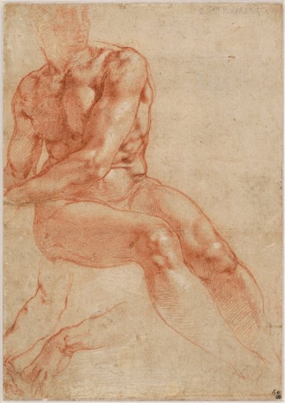 Nu masculino jovem sentado e dois estudos de braços (frente), c. 1510-11 de Michelangelo