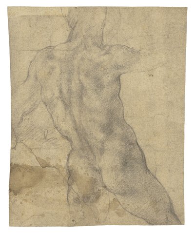 Um nu masculino visto por trás de Michelangelo Buonarroti
