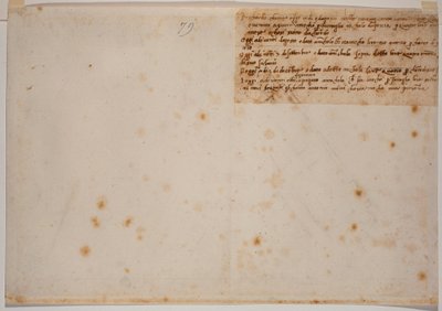 Recolhas de autógrafos de Michelangelo Buonarroti
