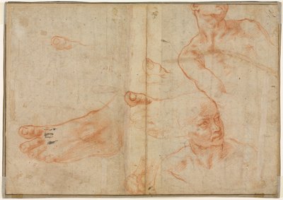 Estudos de Figuras para o Teto Sistina (verso) de Michelangelo Buonarroti