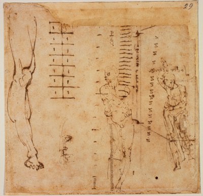 Estudos de figuras de Michelangelo Buonarroti