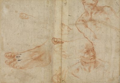 Estudos de figura para o teto da Sistina de Michelangelo Buonarroti