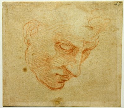 Estudo principal do teto da Capela Sistina, ca 1509-1510 de Michelangelo Buonarroti
