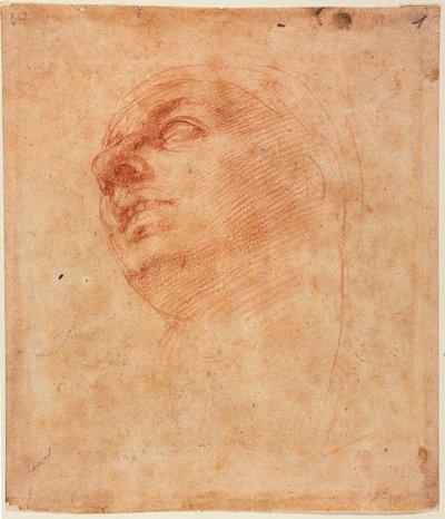 Estudo de cabeça para o Jonas da Sistina de Michelangelo Buonarroti
