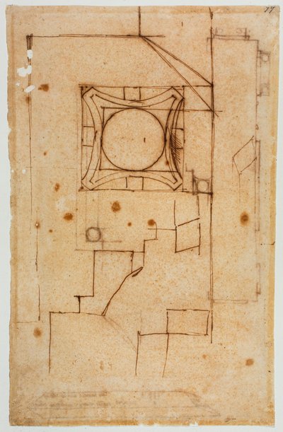 Secção horizontal do capital de Michelangelo Buonarroti